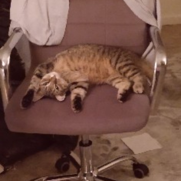 Meet your Posher, Karena - Picture 2 of 3